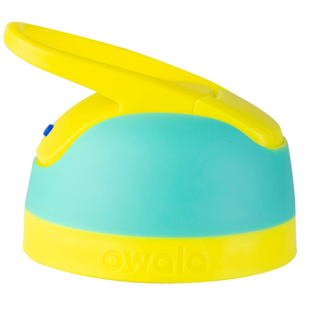 Replacement Lids - Hydration for Busy Workers
