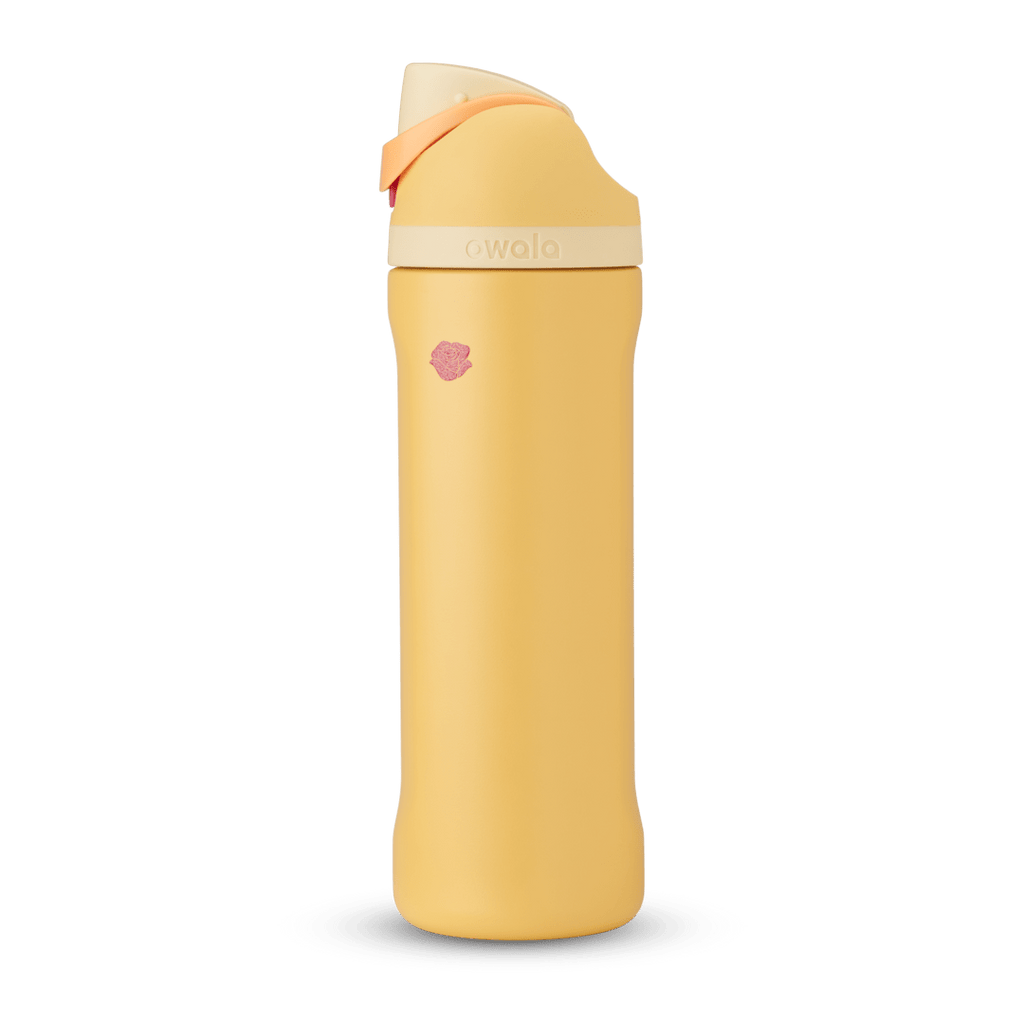 Disney Princess Collection - Keep Cold Water Nearby