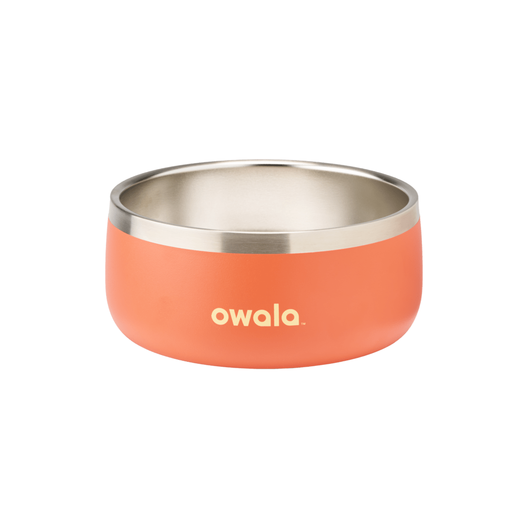 Pet Bowl - Give Better Hydration