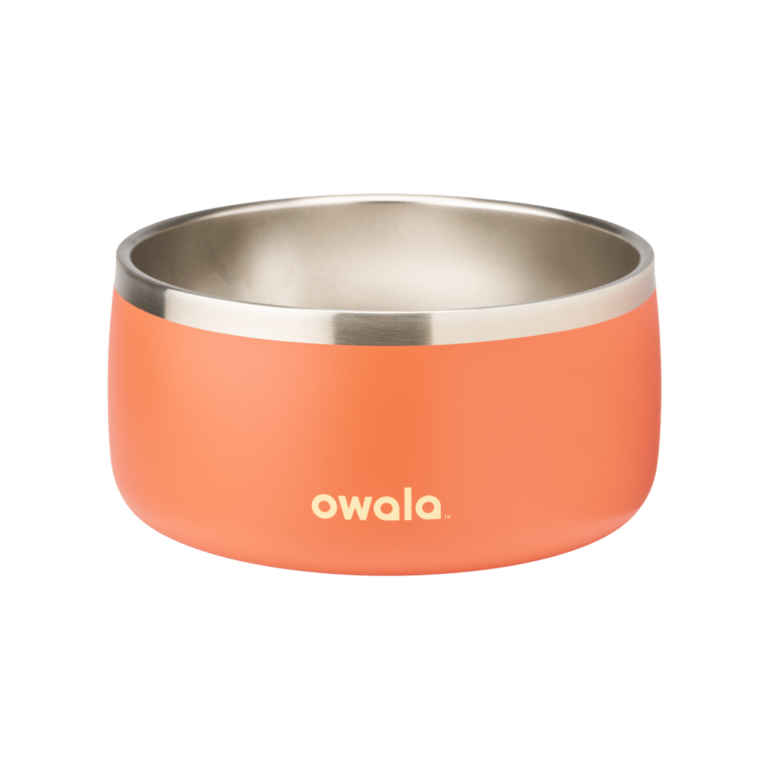 Pet Bowl - Give Better Hydration