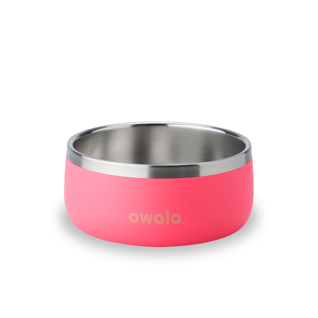 Pet Bowl - Give Better Hydration