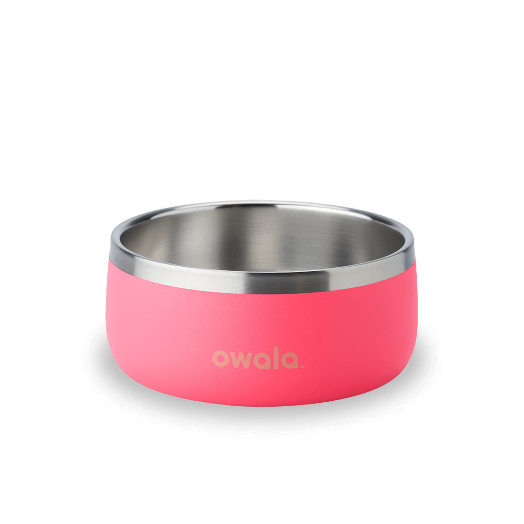 Pet Bowl - Give Better Hydration