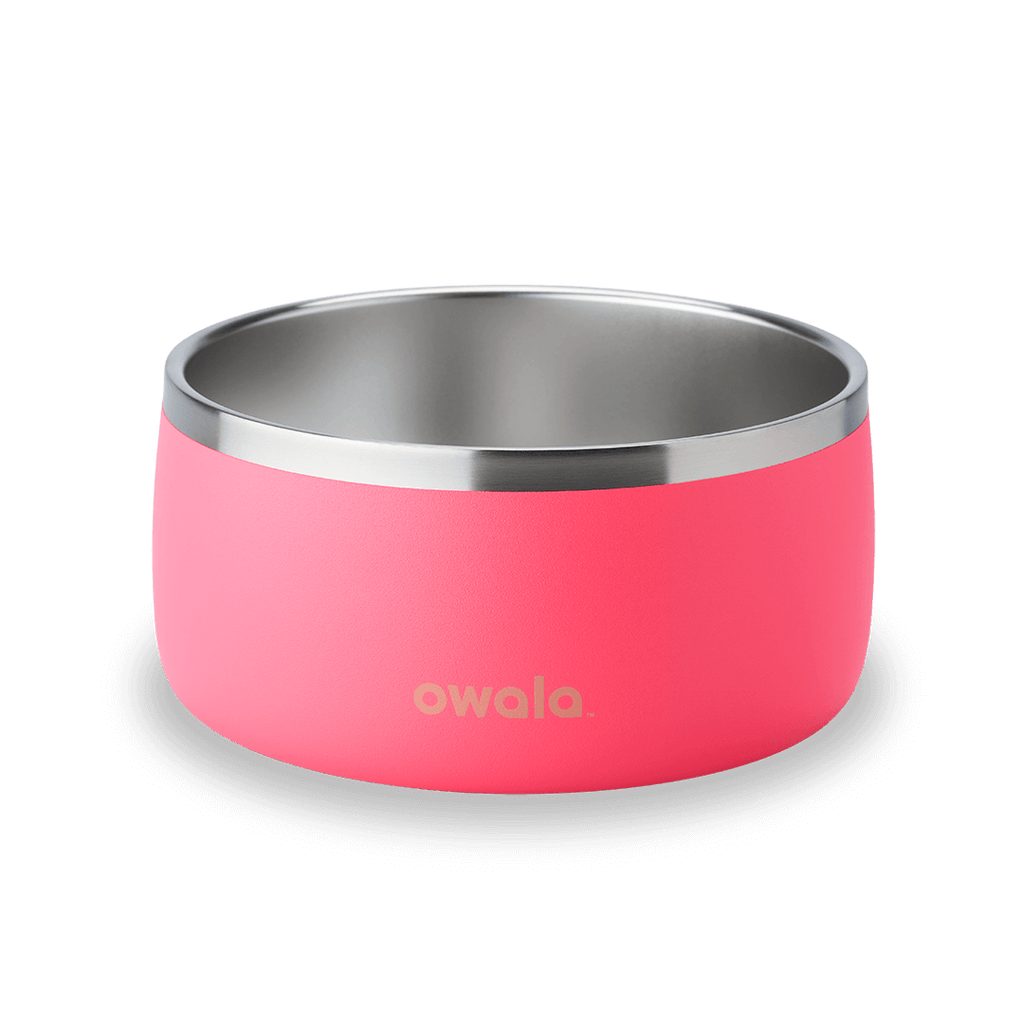 Pet Bowl - Give Better Hydration
