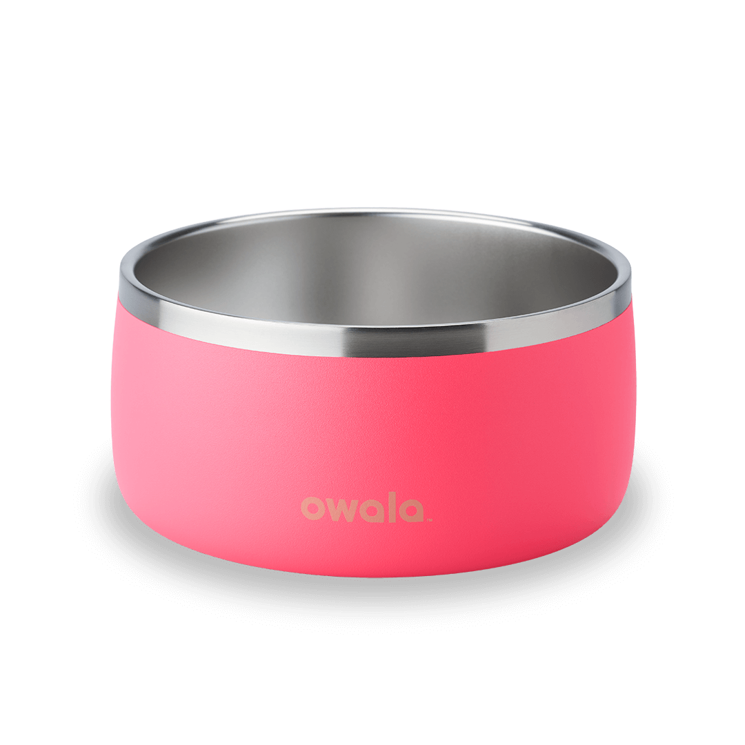 Pet Bowl - Give Better Hydration