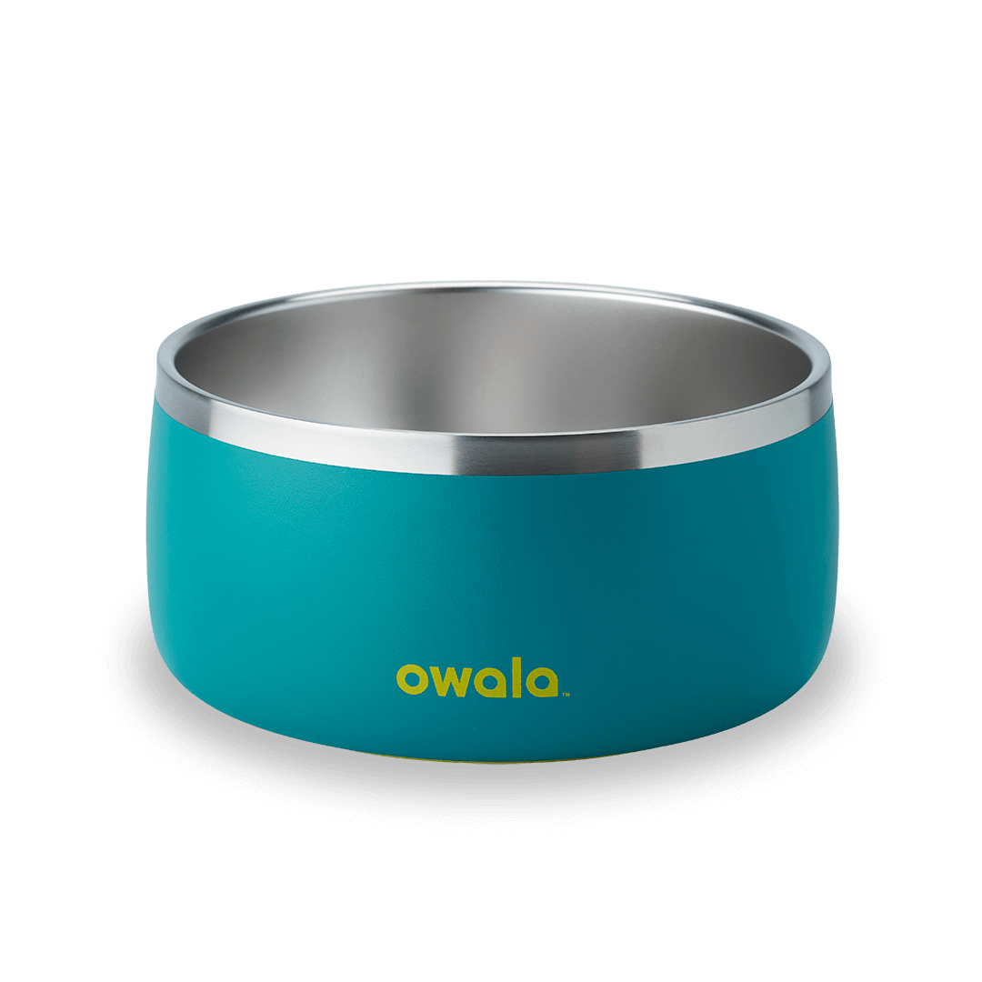 Pet Bowl - Give Better Hydration