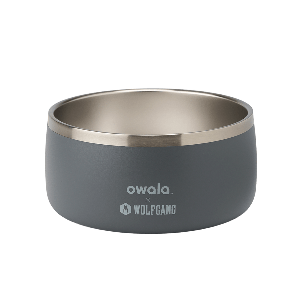Pet Bowl - Give Better Hydration