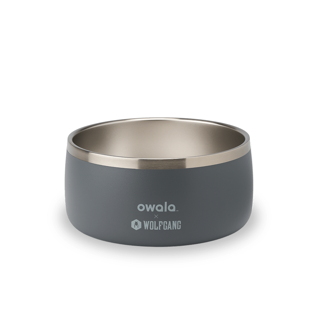 Pet Bowl - Give Better Hydration